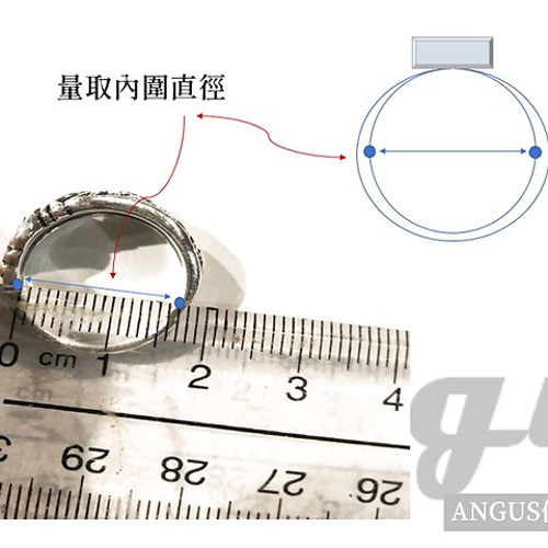 ロックパンクシリーズ】フランケンシュタイン フランケンシュタイン