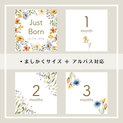 送料無料】◼︎flower マンスリーカード 月齢カード 花 花柄 ましかく