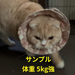 布製エリザベスカラー 猫用 5枚目の画像