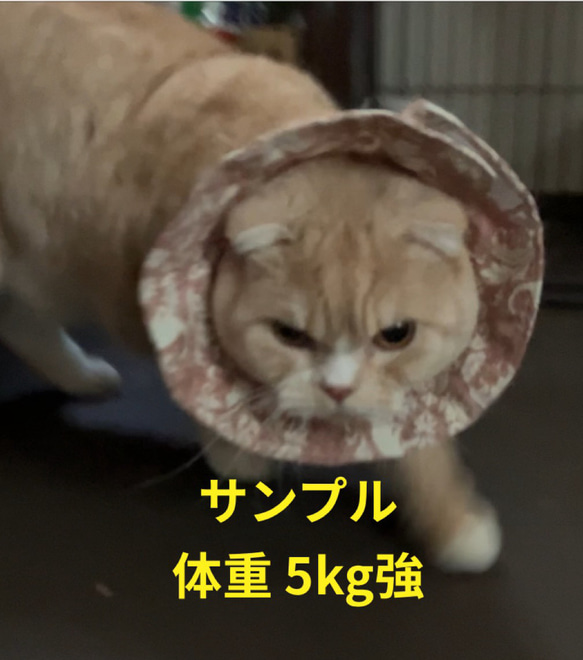 布製エリザベスカラー 猫用 5枚目の画像