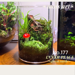 177 苔アート 苔テラリウム トカゲ テラリウム ✴︎green earth 177 苔アート 苔テラリウム トカゲ テラリウム ✴︎green earth