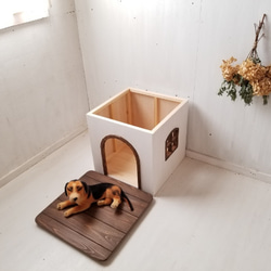 かわいい犬小屋　ドッグハウス　キャットハウス　猫小屋　猫ハウス　室内　小型犬　オーダー可　自然塗料　ナチュラル　シンプル 2枚目の画像