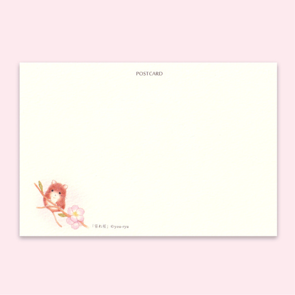 ポストカード 和言葉『零れ桜』 2枚目の画像