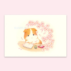 ポストカード 和言葉『零れ桜』 1枚目の画像