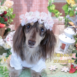 ペットちゃん用リボンクラウン ＊花柄＊ 花かんむり 花冠 わんちゃん 犬 ねこちゃん 猫 1枚目の画像