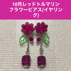 ピアスチャーム 天然石 のおすすめ人気通販 検索結果｜Creema(クリーマ 