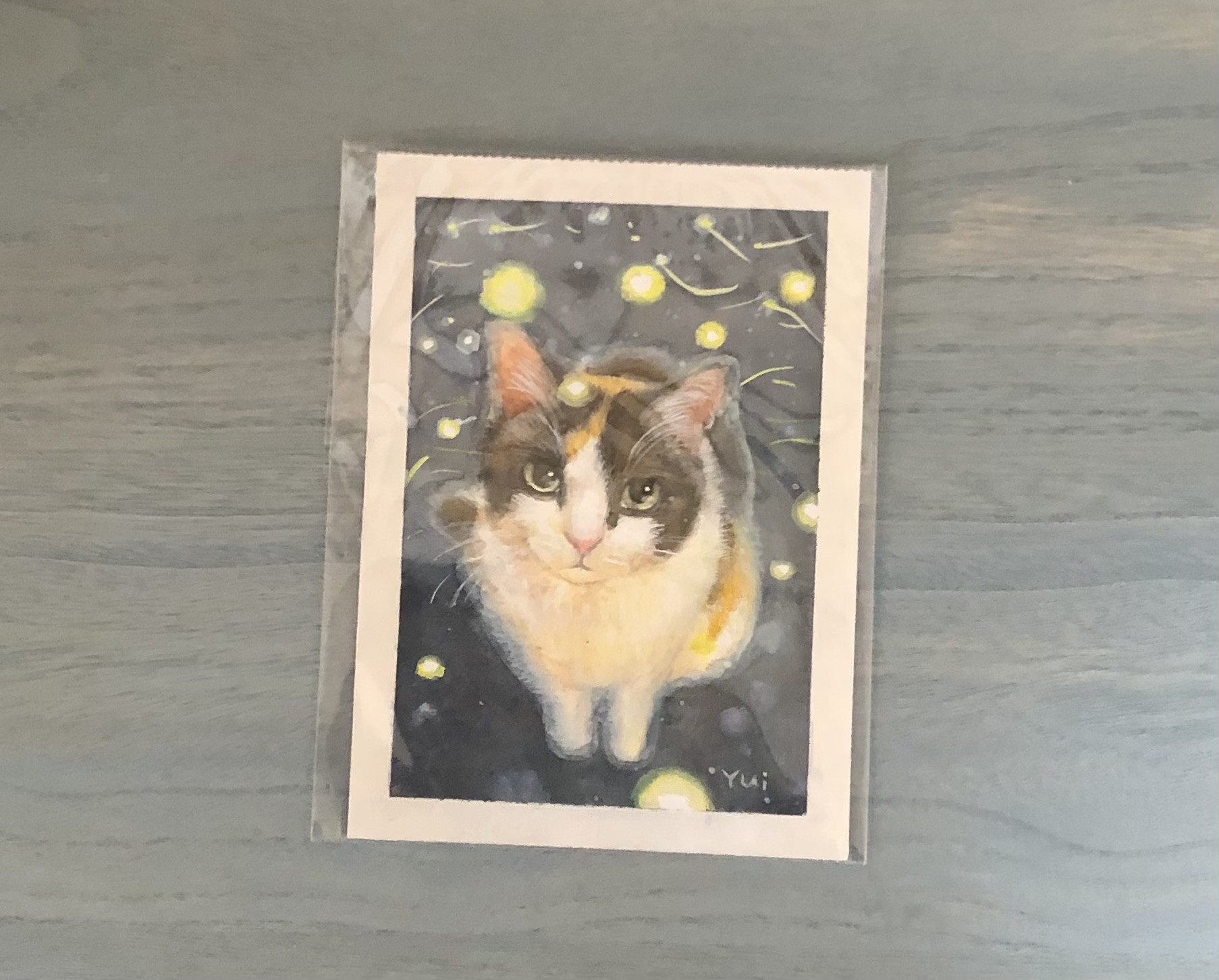 猫の油絵【窓の向こう】1点物の原画/作者サイン入り/額縁付属/フルイドアート