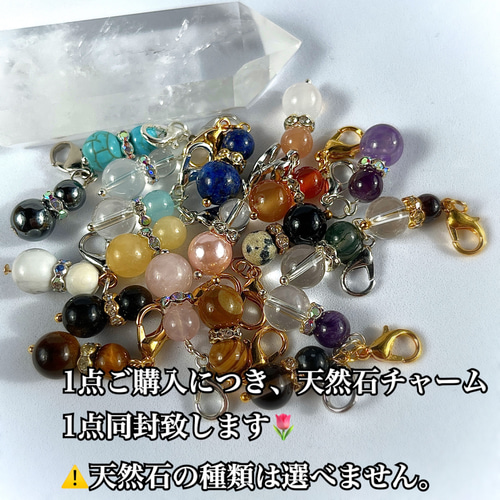 再販【自然の癒し】グレイニネス 珪化木 木紋石 木の化石 パワー