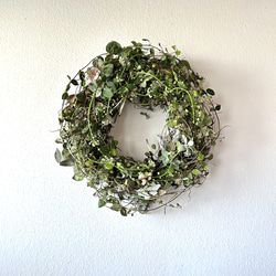 季節限定アナベルリース リース tetre 通販 17944231｜Creema(クリーマ)