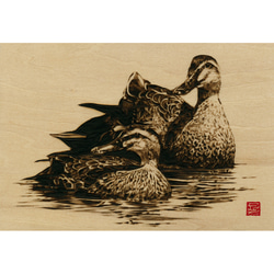 Waterfowls〈s2〉　木材の焦げ色の濃淡で表現した絵画作品 1枚目の画像