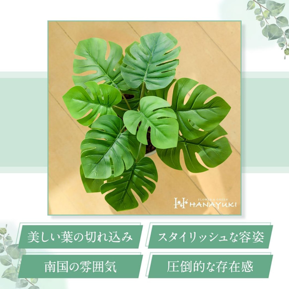 HANAYUKI フェイクグリーン モンステラ 卓上サイズ 30cm 光触媒加工 人工観葉植物 5枚目の画像