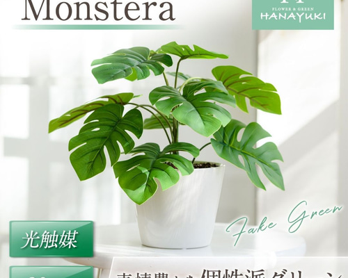 b77fdff0b87a1f1c73957e35125dfa