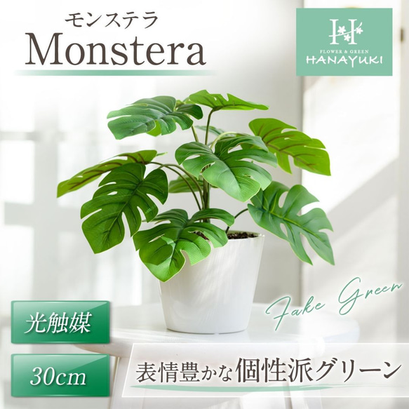 HANAYUKI フェイクグリーン モンステラ 卓上サイズ 30cm 光触媒加工