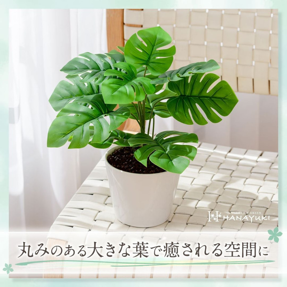 HANAYUKI フェイクグリーン モンステラ 卓上サイズ 30cm 光触媒加工 人工観葉植物 4枚目の画像