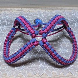 b57e00c7b0726c5676a8c85a1fca4e