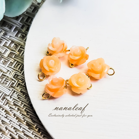 サンゴ他、バラ売り及びセット