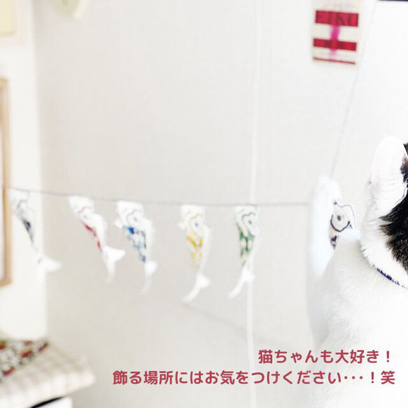 こいのぼりのガーランドセット(糸セット×1)  /五月人形/端午の節句/こどもの日 12枚目の画像
