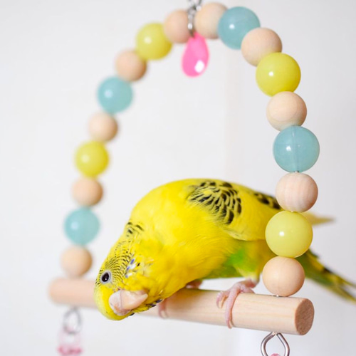 小鳥のブランコ（S）】キャンディーカラー（エメラルドグリーン