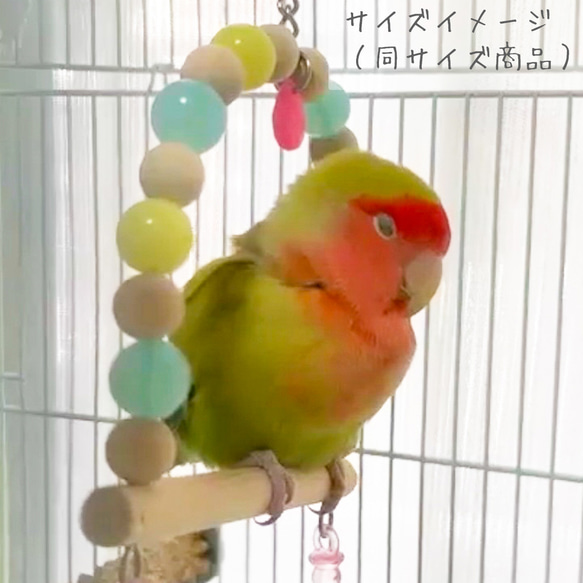 【小鳥のブランコ（S）】キャンディーカラー（ピンク・イエロー）〈小型インコ・文鳥サイズ　バードスイング〉 5枚目の画像