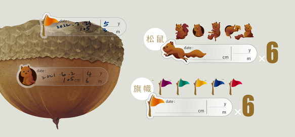 Zhizhida高さスケール - ブナ科シリーズ/高さ定規/成長定規/成長メモリアル 4枚目の画像