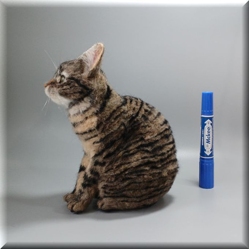 猫 キジトラちゃん 原画 額付 41cm×53cm 見苦しい