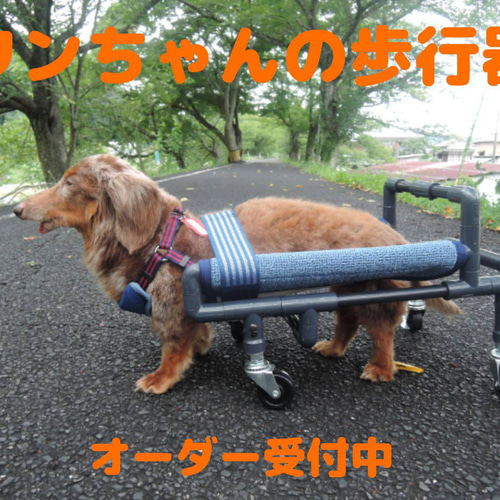 犬の四輪歩行器（ミニチュアダックス専用） ハウス・小屋 ti-bou 通販