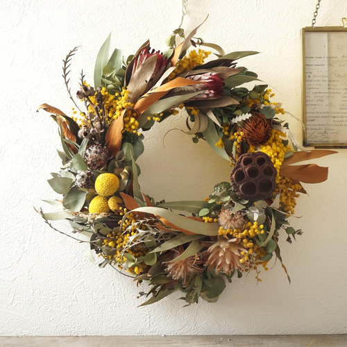 ドライフラワー花材 蓮の実 蓮の花 花材 リース素材 ハンドメイド  