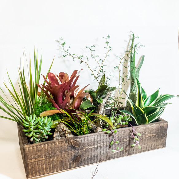 値下げしました【10種／観葉植物の寄せ植え】玄関・リビング