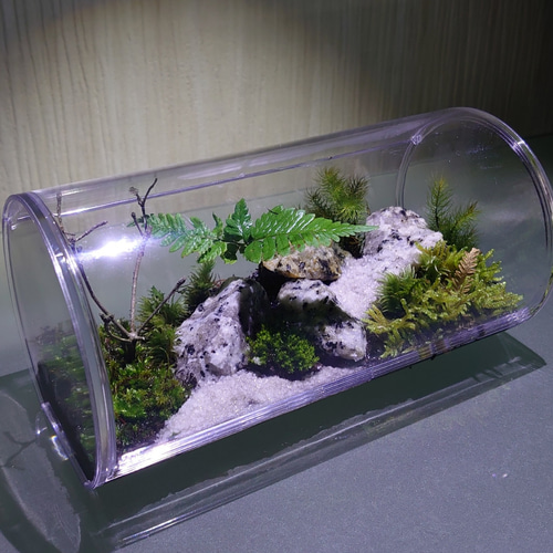 もののけの庭 ~育てやすい癒しの苔テラリウム~ その他インテリア