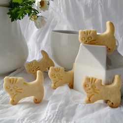 小貓形餅乾模具（芒奇金）/Cat-shaped cookie cutter（Munchkin） 第2張的照片