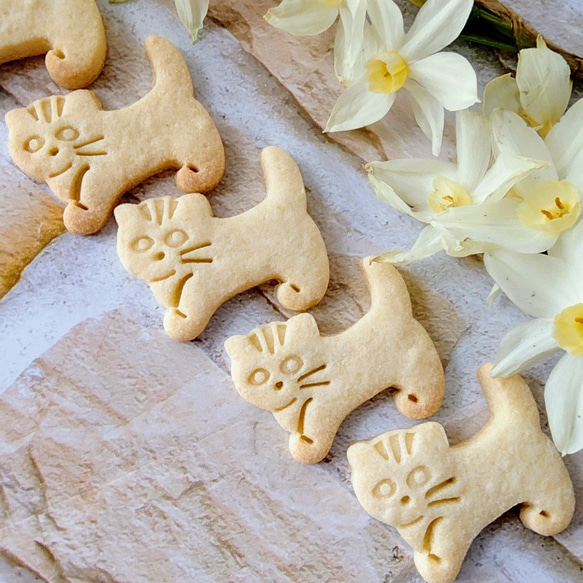 小貓形餅乾模具（芒奇金）/Cat-shaped cookie cutter（Munchkin） 第3張的照片