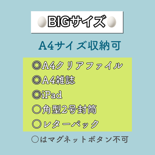 ♡春の新色♡ A4サイズに対応 BIGサイズ ふわコロエッグバッグ