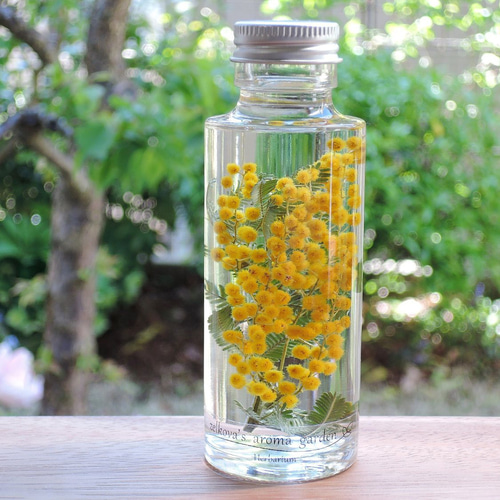受注制作】ミモザのハーバリウム ハーバリウム・植物標本 zelkova