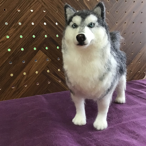 期間限定 数量限定 ハスキー犬（立ちポーズ） コーギー大好きママ 羊毛フェルト 羊毛フェルト