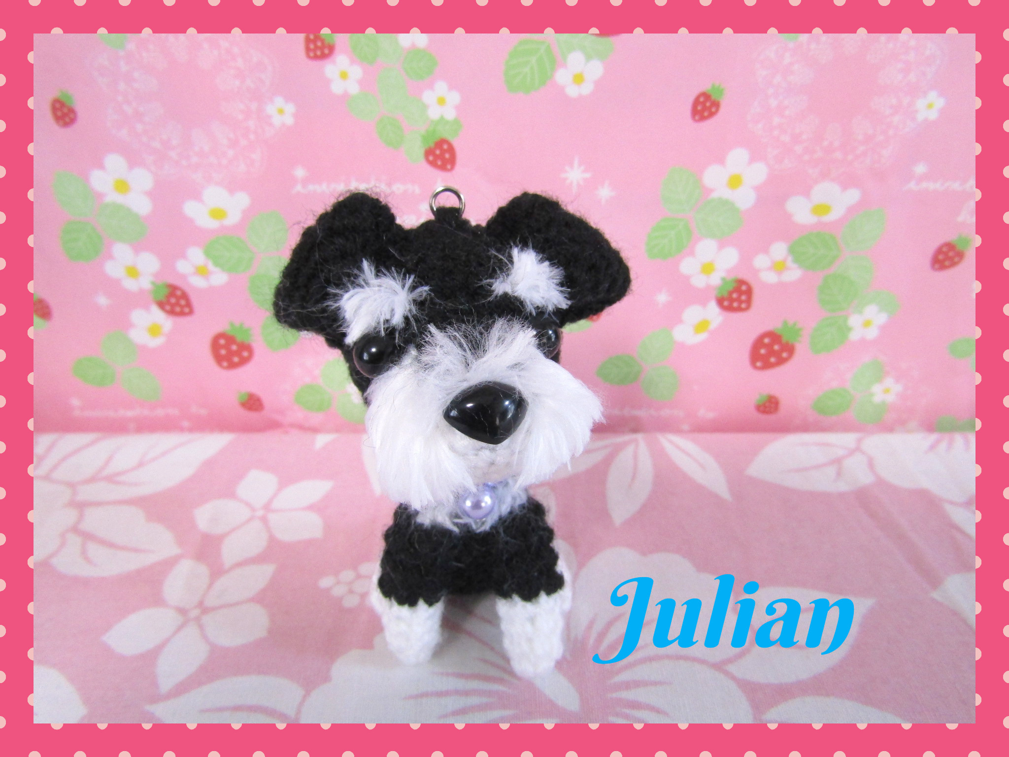 最高 シュナウザー❤️くつしたわんこ シュナウザー❤️くつしたわんこ