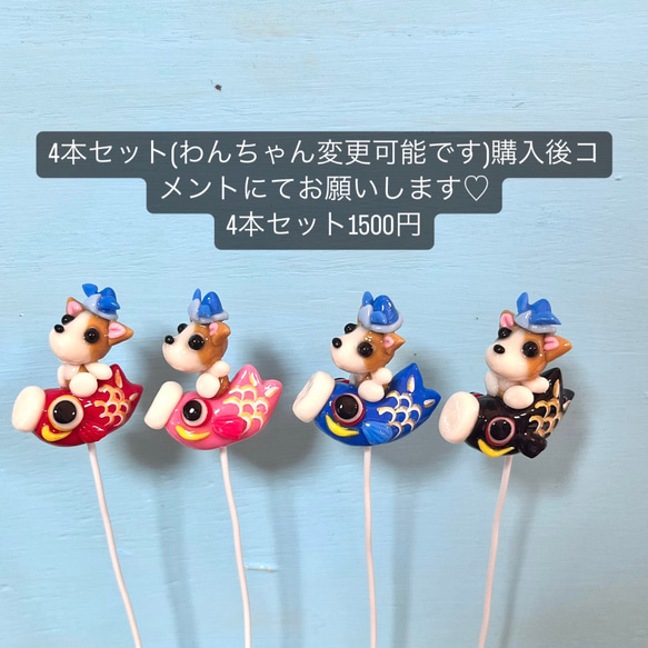 〜このまま飾れる〜多肉植物寄せ植え(樹脂粘土レジン)鯉のぼり　粘土細工 人気・おすすめ｜使いやすい・旅行におすすめ セール中 全国発送 国内発送・品質保証付き商品