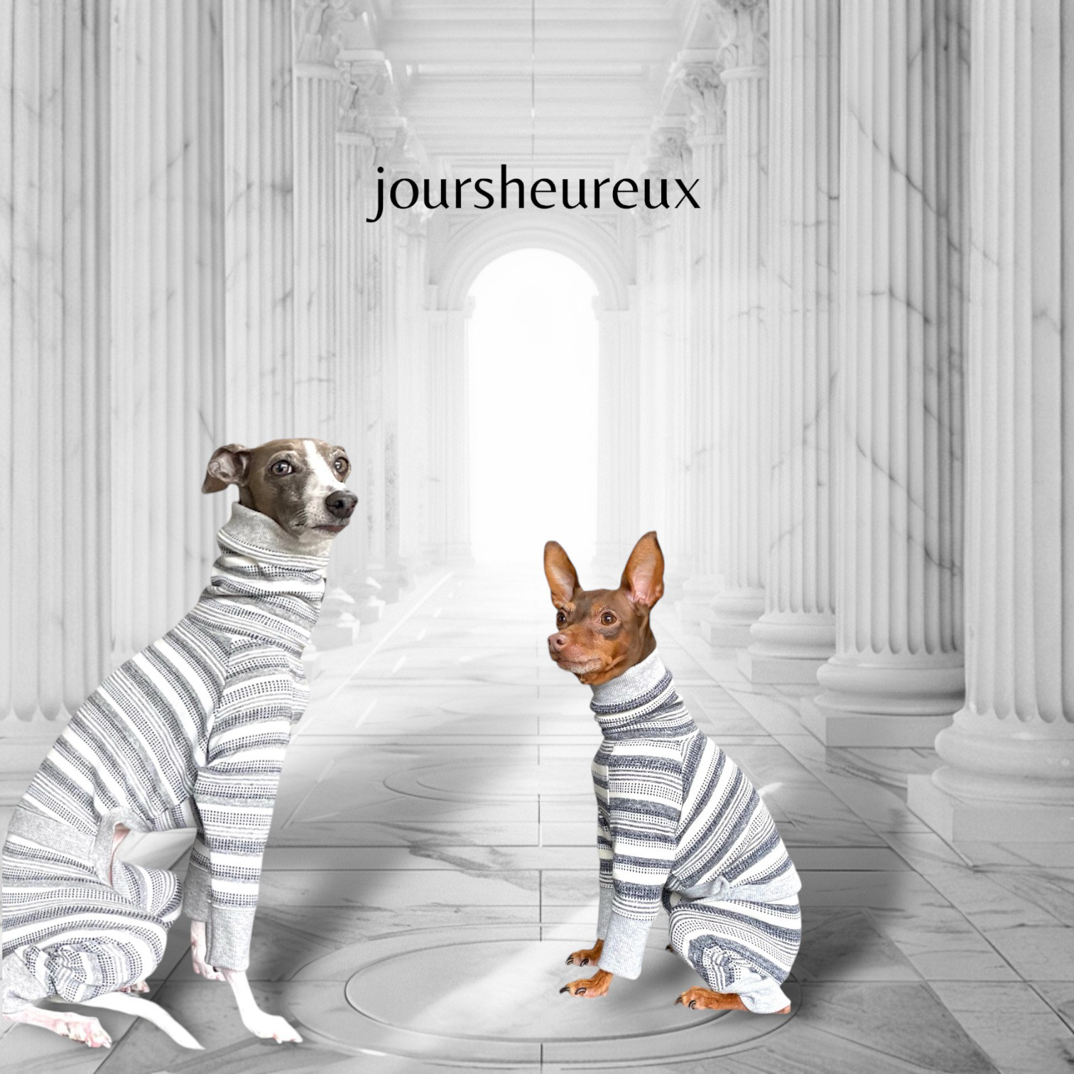 【ミニピン トイマン】ジャガードニット＊カジュアルボーダー