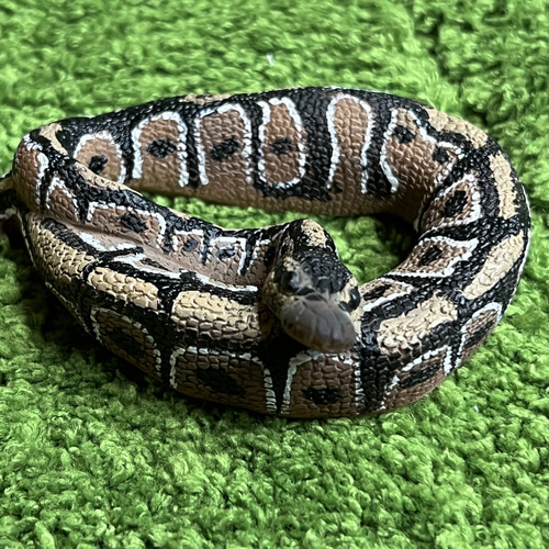 ボールパイソンフィギュア その他置物 reptiles kotori 通販 15667979