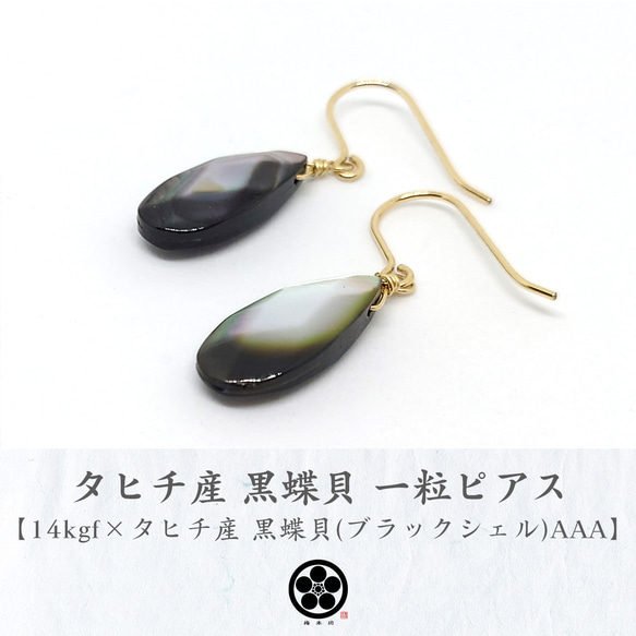 agete 黒蝶貝のピアスチャーム agete - agete アガット 黒蝶貝 ピアスチャームの通販 by