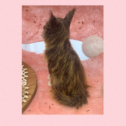 猫の植毛フィギュア 2枚目の画像