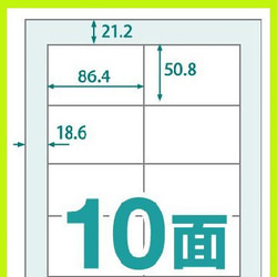  第8張的照片