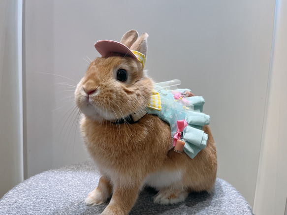 会社員うさぎ  Amazon.co.jp: HAC おさんぽ うさぎちゃん うさぎ 約W9×D14.5