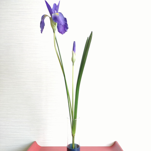 菖蒲と花入（約50cm） 1枚目の画像