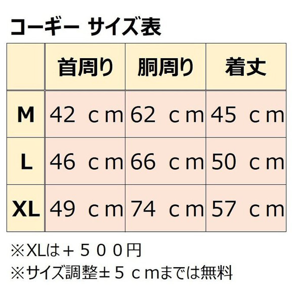  第10張的照片