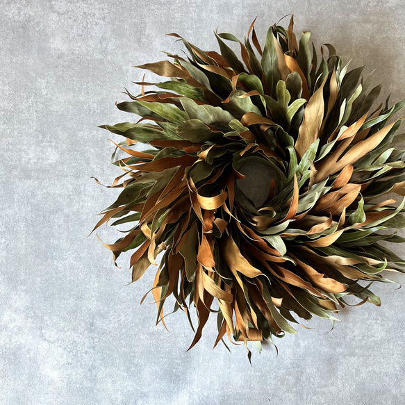 受注製作】グレビレアのリース リース maro＊Rela 通販 15672032