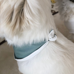 クールバンダナ ニュアンス «4color» ペット 犬 クールネック 犬服 熱中症対策 チワワ トイプードル シーズー 7枚目の画像