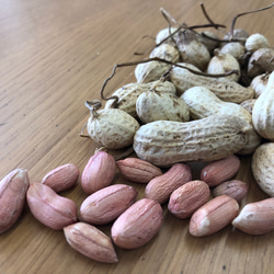 【要冷蔵】落花生だけで出来たピーナッツバター 4枚目の画像