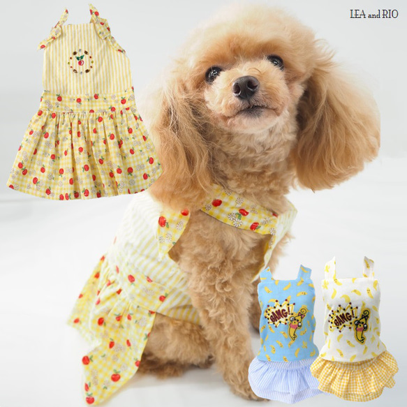 ワンピース ドレス フルーツ 夏 かわいい 小型犬用 ドッグウェア 犬 猫 ペット P106 P111 P112 1枚目の画像