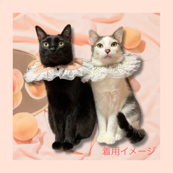 【送料無料】猫用フリフリ襟　桃　ホワイト　ももポシェットつき 5枚目の画像