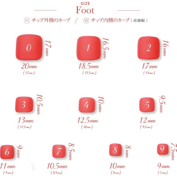  第11張的照片